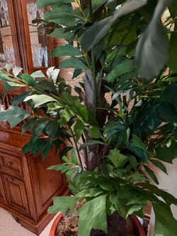 Faux fish tail palm tree