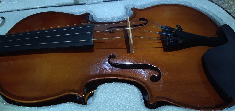 Violin