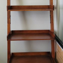 Bookcase Shelf Ladder