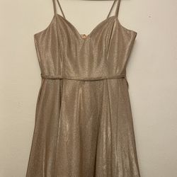 Large Shiny Dress With Matching Size 7 Shoes