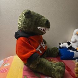 Green Alligator 