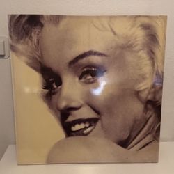 Marilyn Monroe Frame 