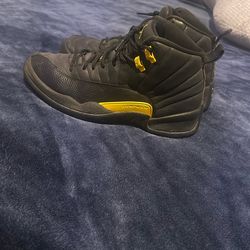 Jordan 12s