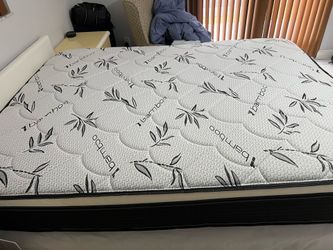 Queen pillow top mattress