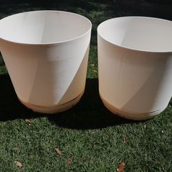 FLOWER POTS