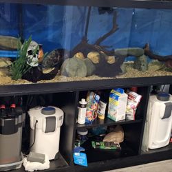 125 Gallon Fishtank 