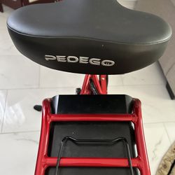 Pedro Electric Bike (Boomerang