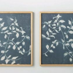 Framed Prints