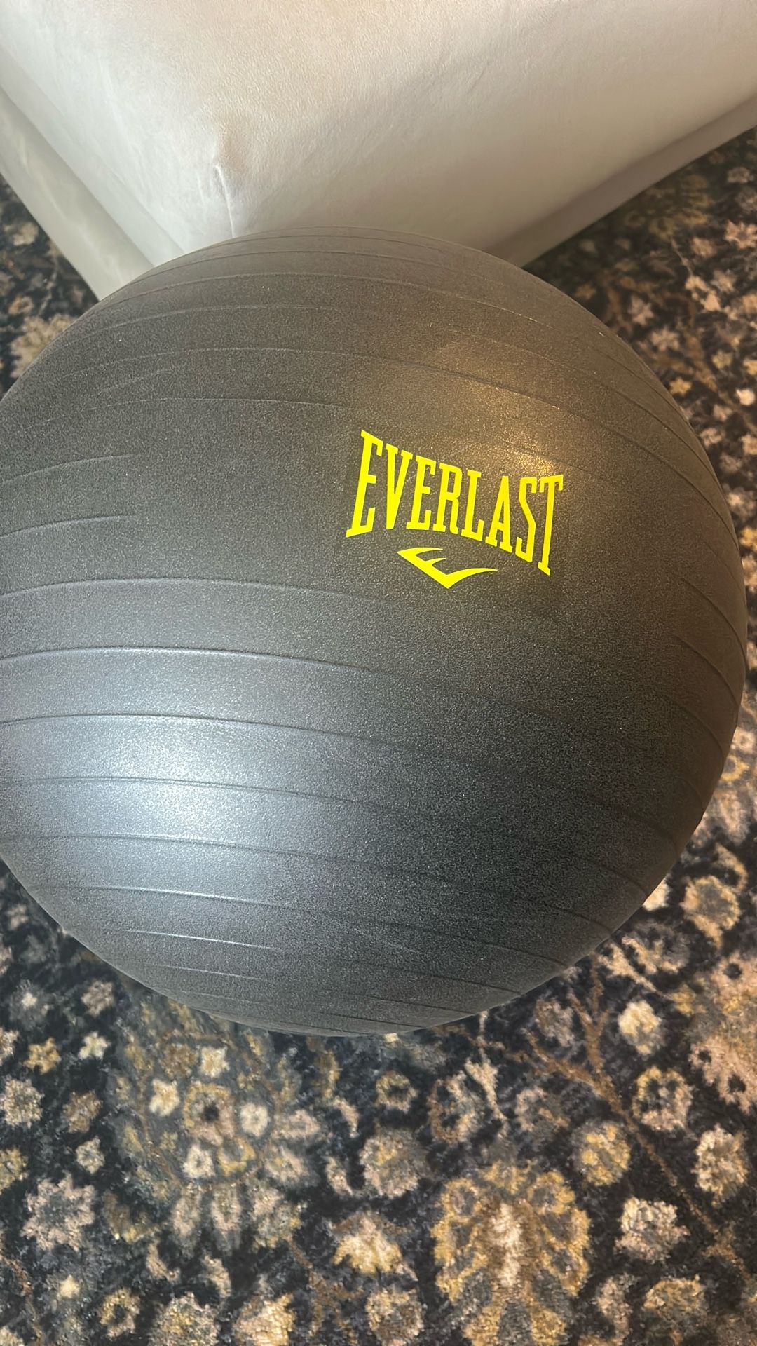 Exercise Ball