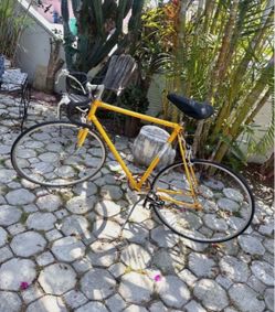Vintage TAKARA Bike 12 Speed