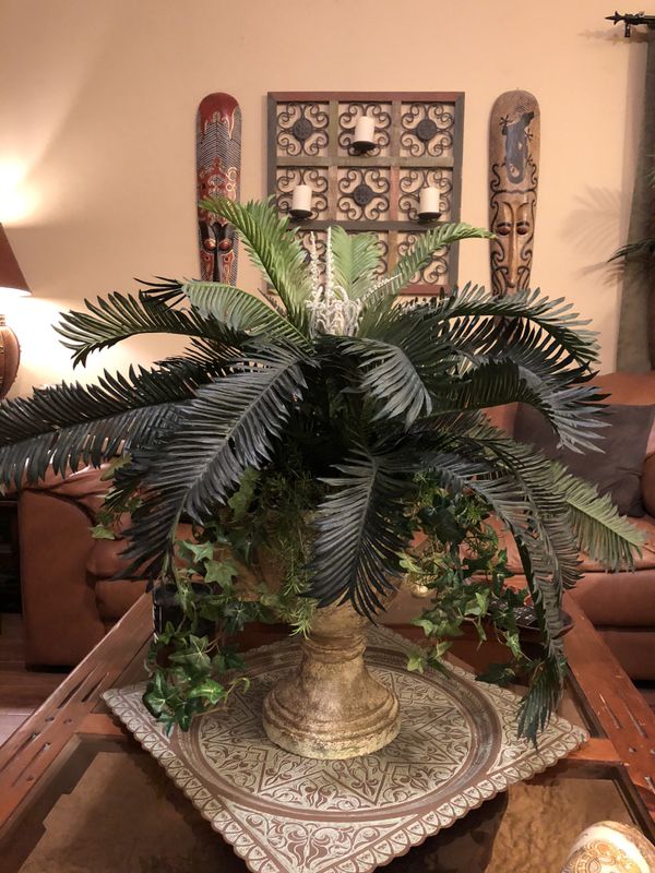 Sago Palm Arrangement In Beautiful Planter Greenery Plant Centerpiece For Sale In Cypress TX 