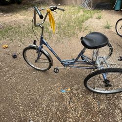 Vintage Miami Sun Adult Trike for Sale