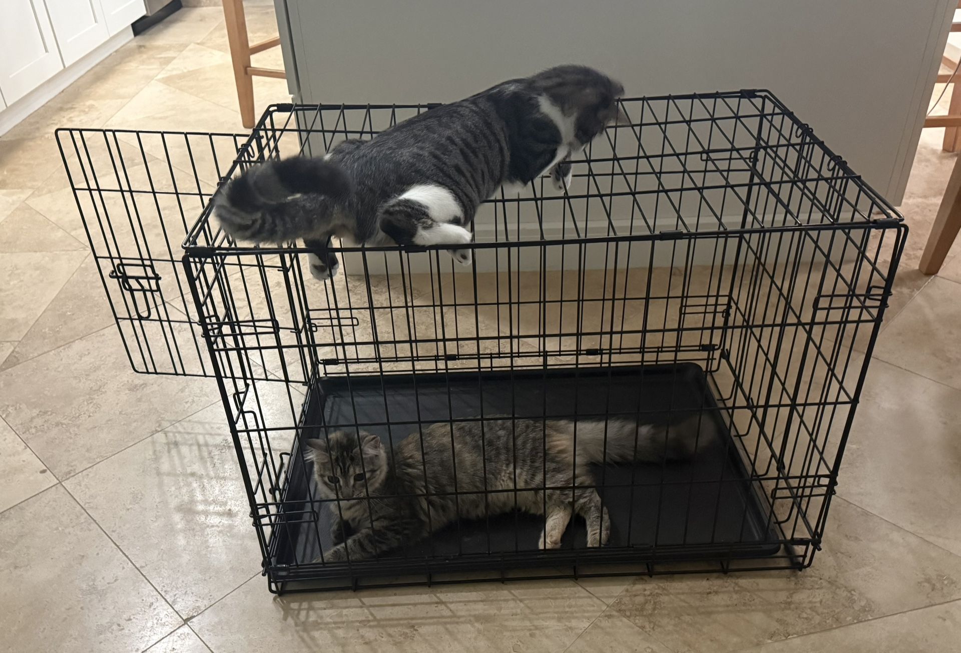 Metal Dog Crate Cage Kennel