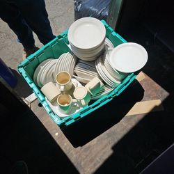 Free plates and cups