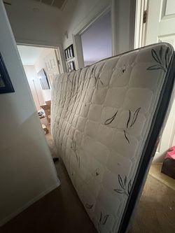 Free!! queen mattress