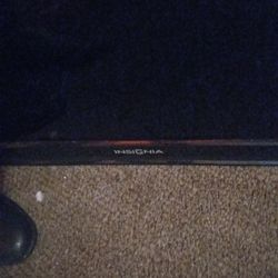 Insignia 55' Inch TV  2020 