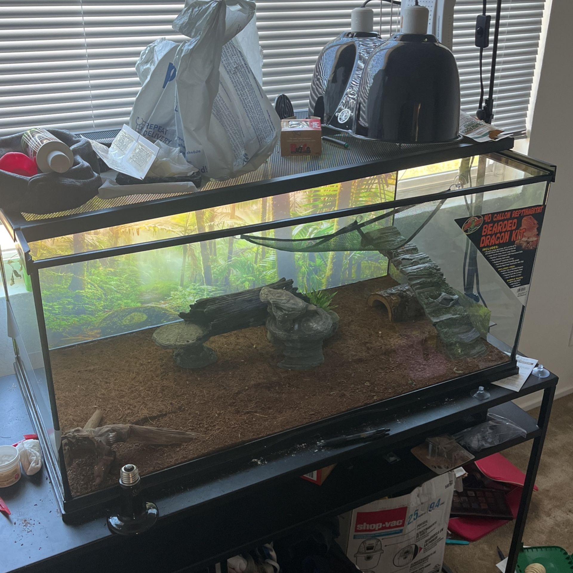 40 Gallon Tank 