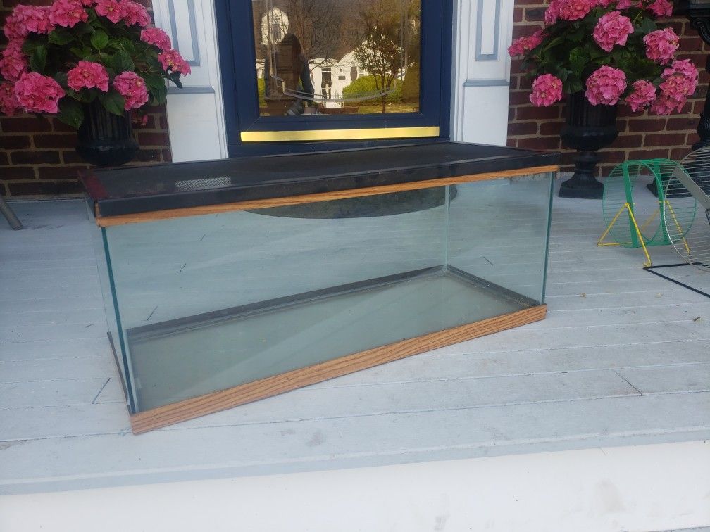 20g Tank