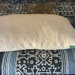 Avocado Pillow