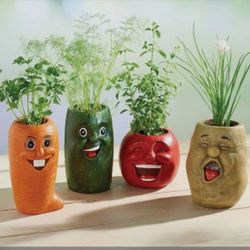 Plant Pots New In Box (Cucumber)