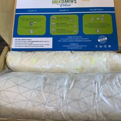 Great Earth Queen Size Bamboo Pillow  (1)