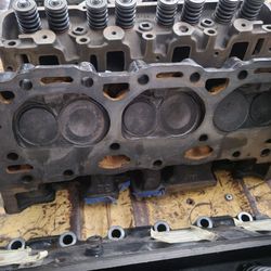 4.3 gm heads