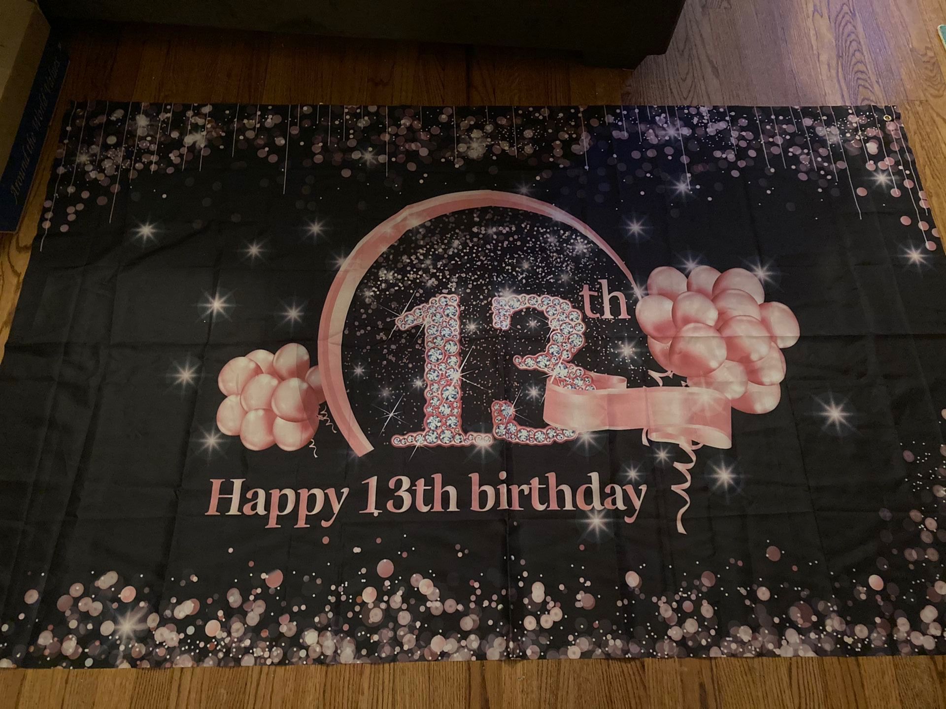 13th Birthday Banner 