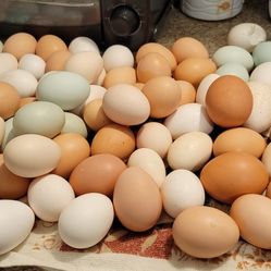 Chiken Eggs For Sale
