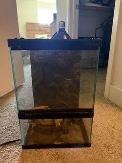 Zilla Terrarium