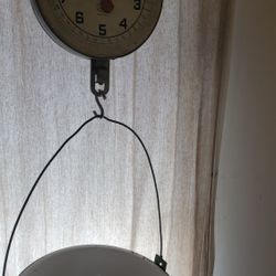 Scale
