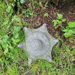 Japanese Yard Decoration 