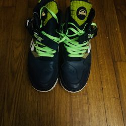 Reebok Pump Paydirt Seattle Seahawks RARE! 