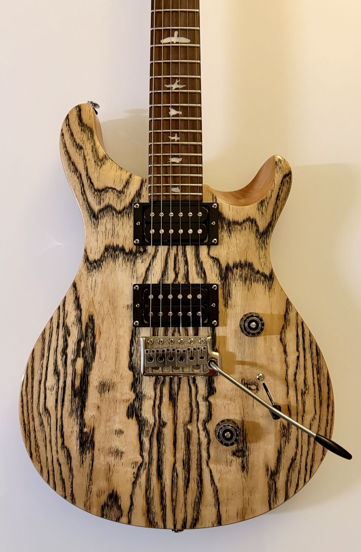PRS SE Custom 24 - Exotic