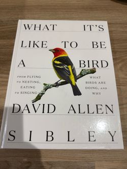 What It's Like to Be a Bird by David Allen Sibley