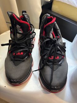 Lebrons size 8.5