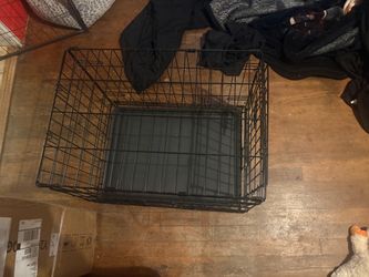 dog cage