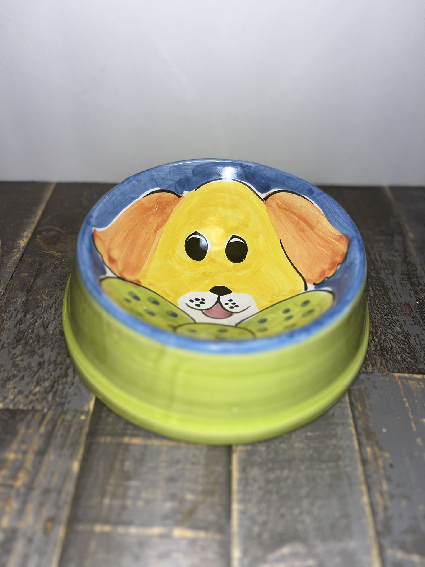 Hand Painting Dog Food Bowl