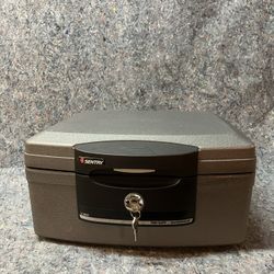 Sentry Fireproof Safe H2100