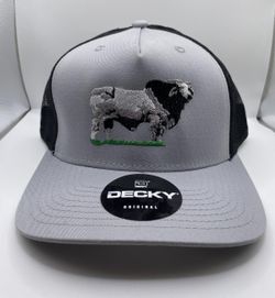 Cattle hat. Ranch life hats. Hooey Hats. Cachuchas. Western Hats. Rodeo. Trucker hats. Baseball hats. Football hats. Located in Hesperia by Maple & Eu