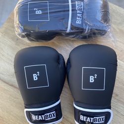 14oz Boxing Gloves 