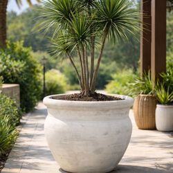 Huge Size Terra Cotta Pots Planters 