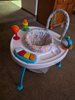 Brand New Bouncer No Stains