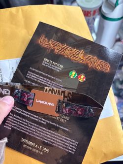 WASTELAND 2-DAY GA WRISTBAND