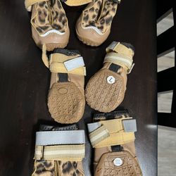 Dog Shoes, Outdoor Wall Shoes