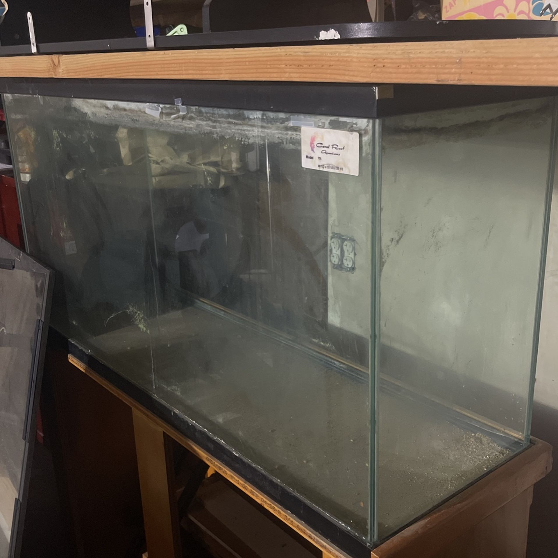 Large Fish Tank
