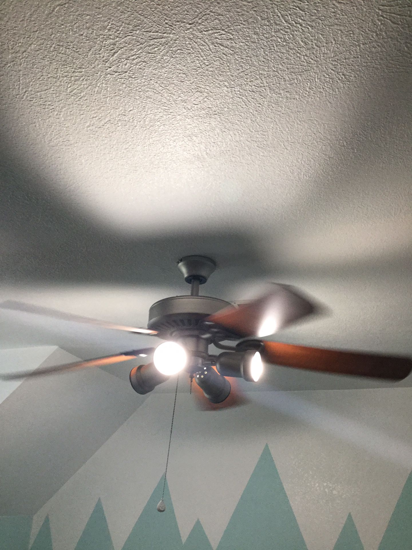 Fan with light