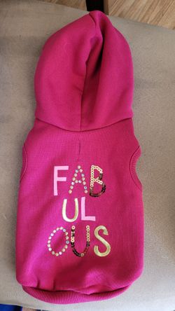 Doggie sweatshirt