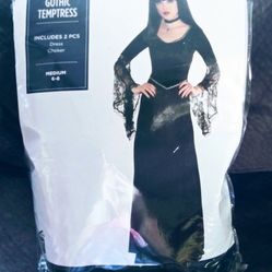 NEW Women's Gothic Temptress Halloween Costume