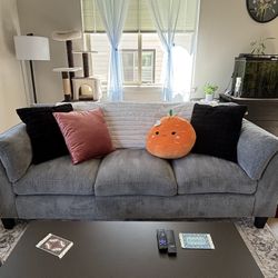 Grey Couch 