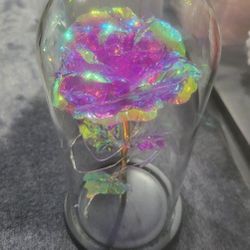 GALAXY ROSE- ROSE BY LOVE - BY KY $25.00